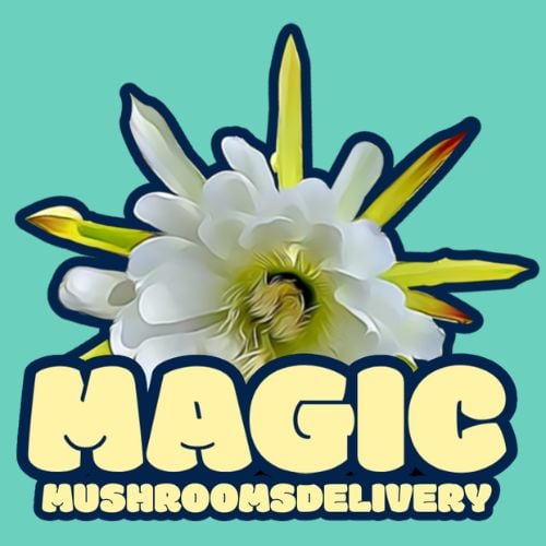 Magic Mushrooms Delivery