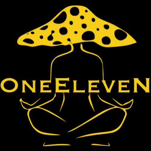 OneEleven