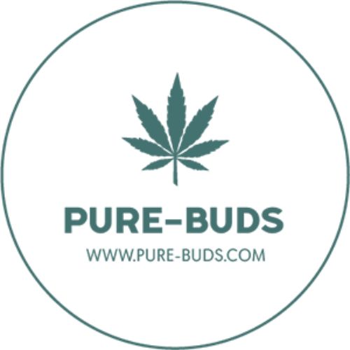 Pure Buds