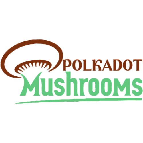 polkadot mushroom