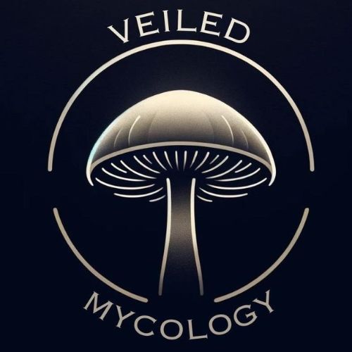 Veiled Mycology Ltd.