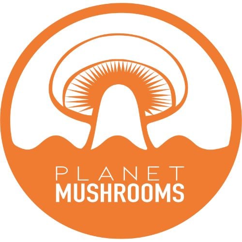 Planet Mushrooms