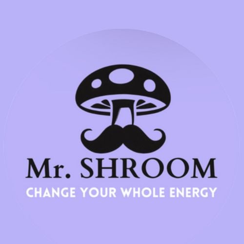 Mr.Shroom