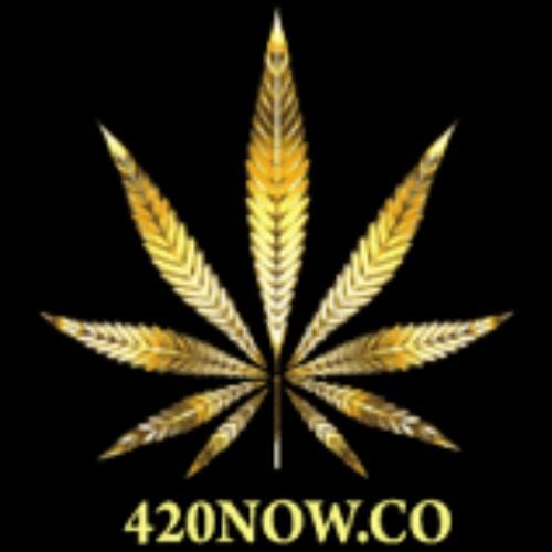 420NOW.CO