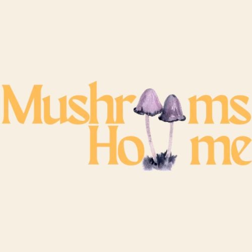 Mushrooms Home - Grow Shop