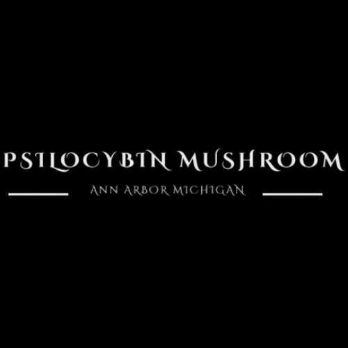 Psilocybin Mushrooms