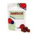 Amigos Strawberry Vegan Gummies - Microdose Mushroom - SEEVerse - Fungimaps