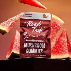 Road Trip Amanita Muscaria Mushroom Gummies - Edible Mushroom - Road Trip - Fungimaps