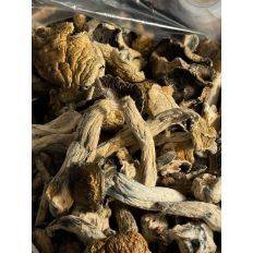 Thrashers - Magic Mushroom - Ghost Shrooms - Fungimaps