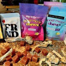 (2) Ultimate Gummy Bundle - Microdose Mushroom - Good Moods - Fungimaps