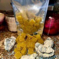 (2) Tumer Trips Gummies - Edible Mushroom - Good Moods - Fungimaps