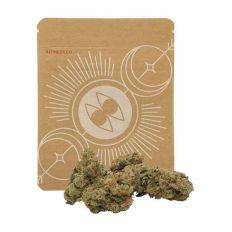 Sativa - Cannabis - MUSH RUSH - Fungimaps